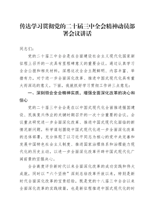 传达学习贯彻党的二十届三中全会精神动员部署会议讲话20240731