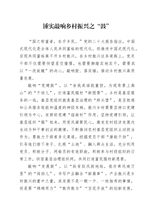 锤实敲响乡村振兴之“鼓”