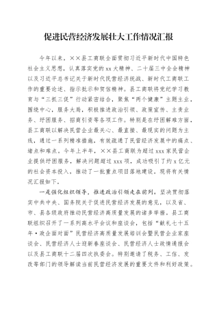 促进民营经济发展壮大工作情况汇报