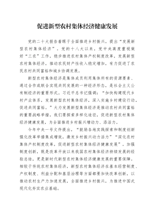 促进新型农村集体经济健康发展