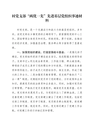 村党支部“两优一先”先进基层党组织事迹材料