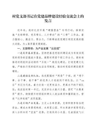 村党支部书记在党建品牌建设经验交流会上的发言