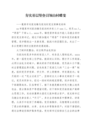 村党支部先进事迹材料