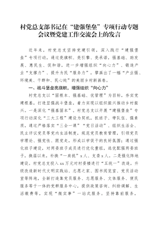 村党总支部书记在“建强堡垒”专项行动专题会议暨党建工作交流会上的发言