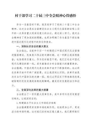 村干部学习二十届三中全会精神心得感悟