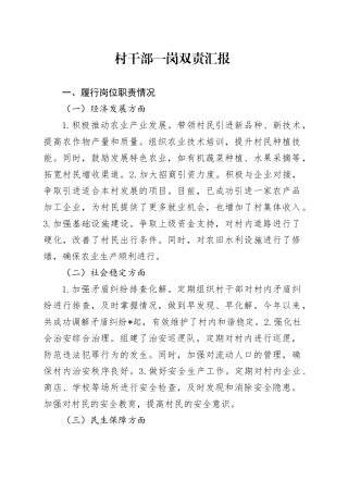 村干部一岗双责汇报