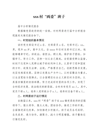 村两委班子届中分析情况报告