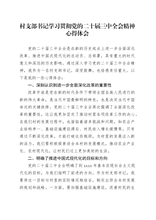 村支部书记学习贯彻党的二十届三中全会精神心得体会
