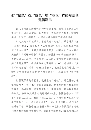 打“底色”+提“成色”+增“亮色”+描绘基层党建新篇章