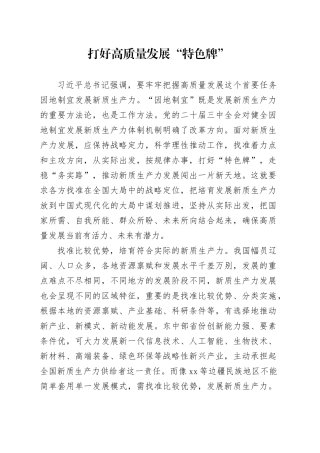 打好高质量发展“特色牌”