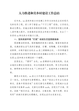 大力推进和美乡村建设工作总结