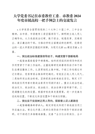 大学党委书记在市委教育工委、市教委2024年度市属高校一把手例会上的交流发言