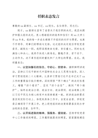 大学副校长任职表态发言