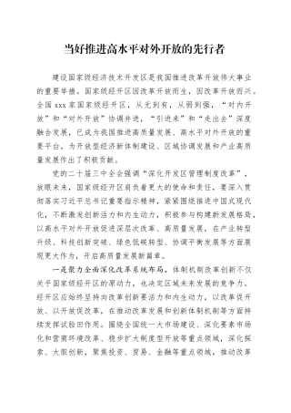当好推进高水平对外开放的先行者