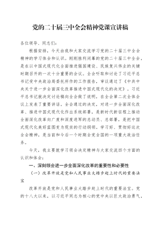 党的二十届三中全会精神党课宣讲稿20241030