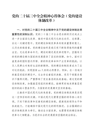 党的二十届三中全会精神心得体会（党的建设体制改革）
