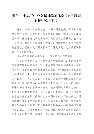 党的二十届三中全会精神学习体会（X市河湖管护中心主任）
