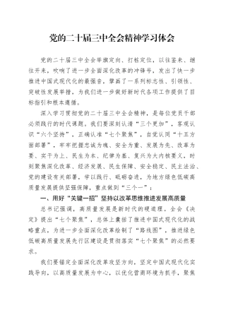 党的二十届三中全会精神学习体会