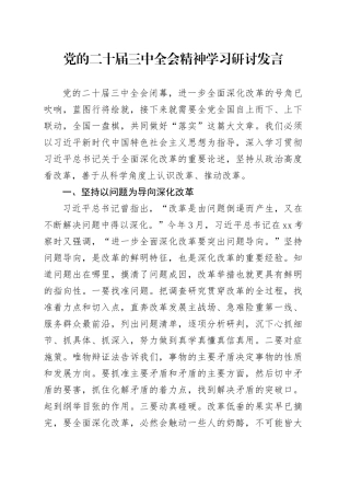 党的二十届三中全会精神学习研讨发言
