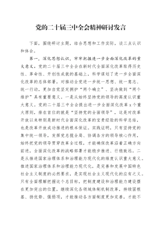 党的二十届三中全会精神研讨发言