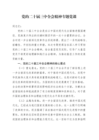 党的二十届三中全会精神专题党课