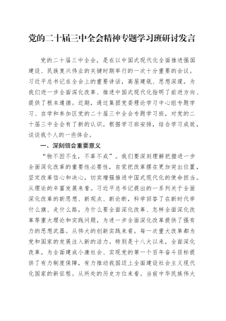 党的二十届三中全会精神专题学习班研讨发言