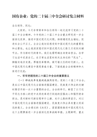 党的二十届三中全会研讨发言材料（国企改革领域）