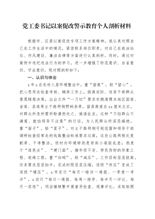 党工委书记以案促改警示教育个人剖析材料