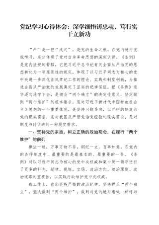 党纪学习心得体会：深学细悟铸忠魂，笃行实干立新功
