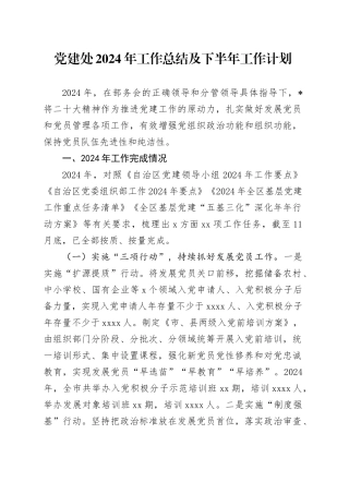 党建处2024年工作总结及下半年工作计划