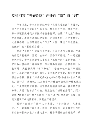 党建引领“五好片区”产业向“新”而“兴”