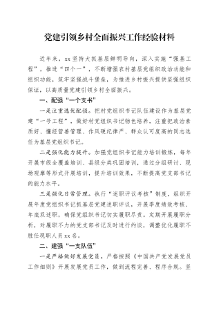 党建引领乡村全面振兴工作经验材料20240719