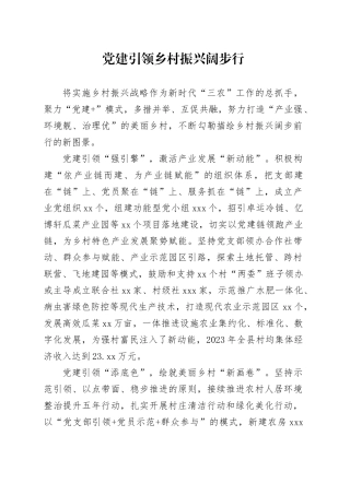 党建引领乡村振兴阔步行（农村党建）