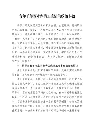 党课讲稿：青年干部要永葆清正廉洁的政治本色