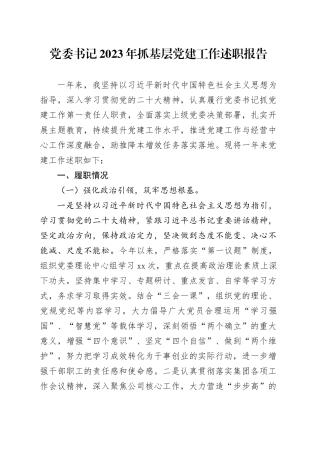 党委书记2023年抓基层党建工作述职报告20240131