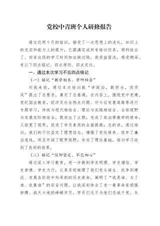 党校中青班个人研修报告