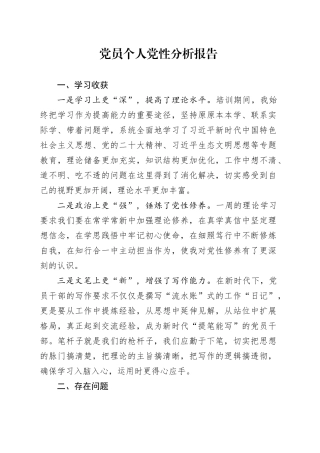 党员个人党性分析报告-2
