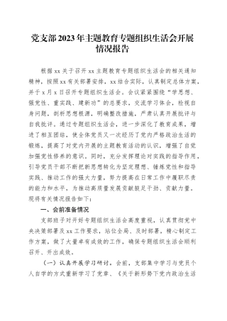 党支部2023年主题教育组织生活会开展情况报告