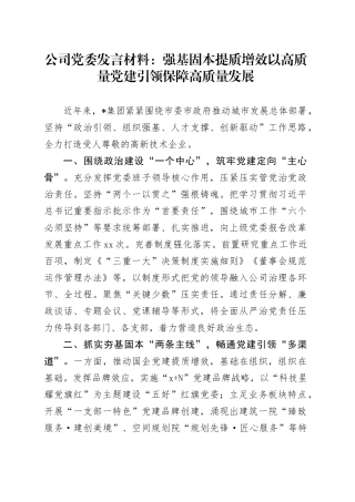 公司党委发言材料：强基固本 提质增效 以高质量党建引领保障高质量发展