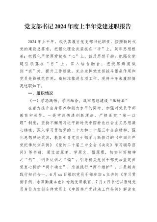 党支部书记2024年度上半年党建述职报告