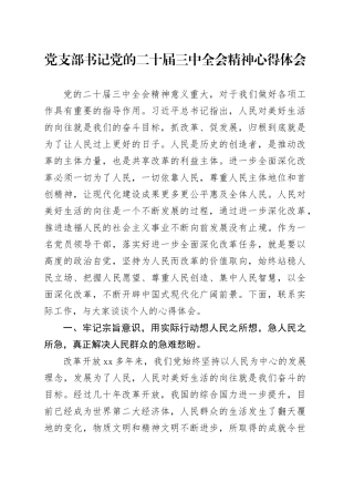 党支部书记党的二十届三中全会精神心得体会