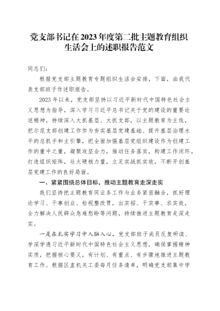 党支部书记在2023年度第二批主题教育组织生活会上的述职报告20240202