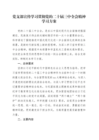 党支部宣传学习贯彻党的二十届三中全会精神学习方案