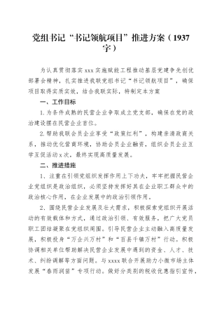 党组书记“书记领航项目”推进方案（1937字）