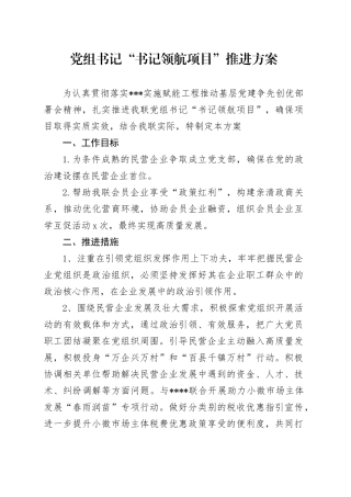 党组书记“书记领航项目”推进方案