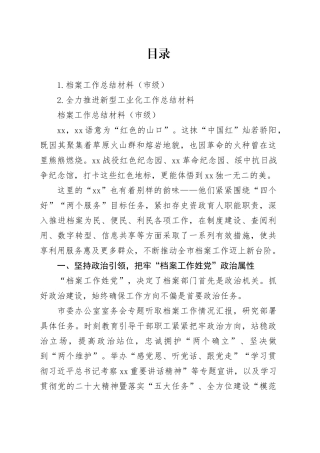 档案工作总结材料（市级）