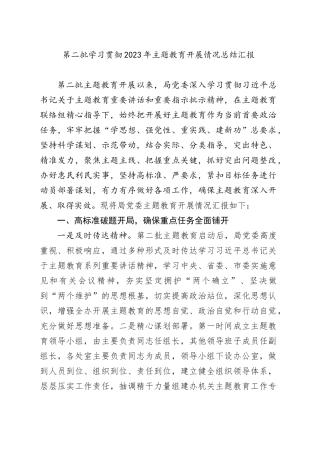 第二批学习贯彻2023年主题教育开展情况总结汇报20240308