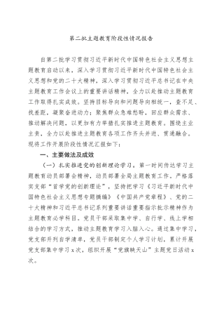 第二批主题教育阶段性情况报告
