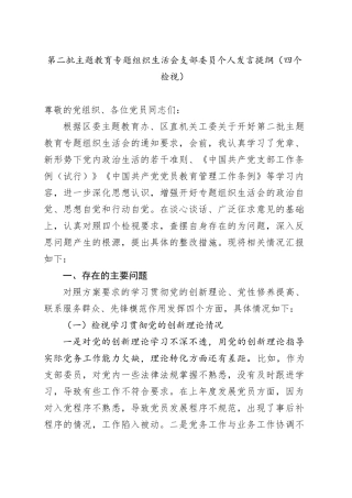 第二批主题教育专题组织生活会支部委员个人发言提纲（四个检视）