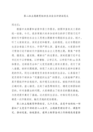 第二批主题教育组织生活会点评讲话20240129